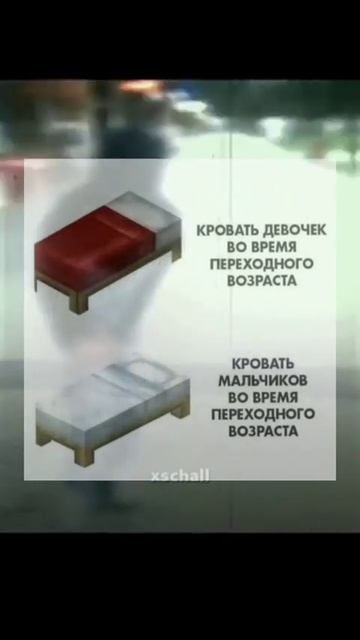 Кровать девочек VS Кровать мальчиков #Shorts смотреть онлайн