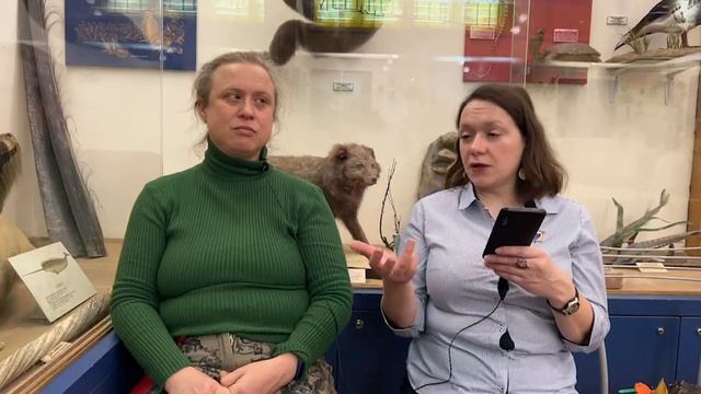 Спроси биолога. Зубы смотреть онлайн