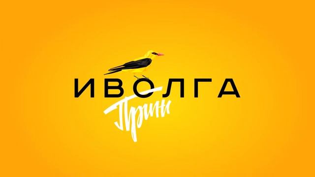 Рекламный ролик Иволга смотреть онлайн