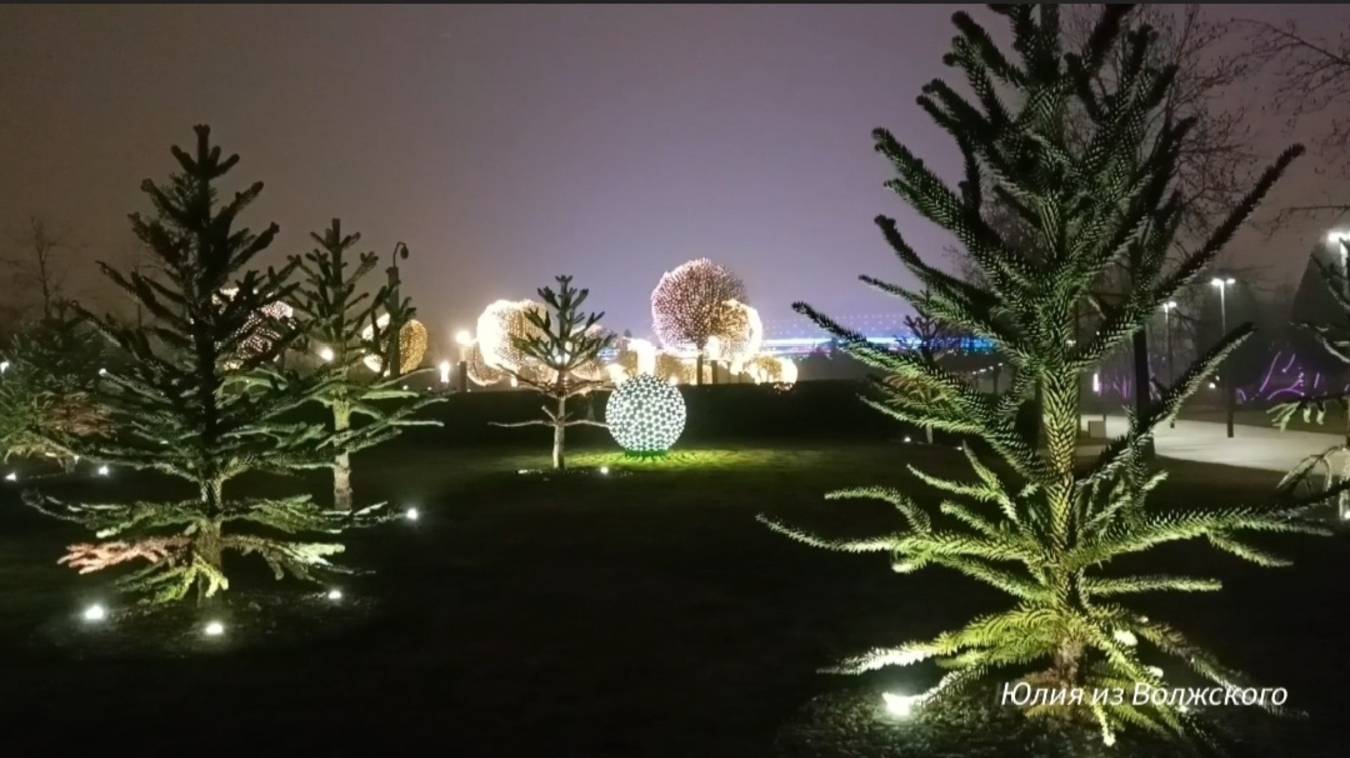 Вечерние огни Парка Галицкого. Араукария чилийская, светящиеся шары и лотосы. смотреть онлайн