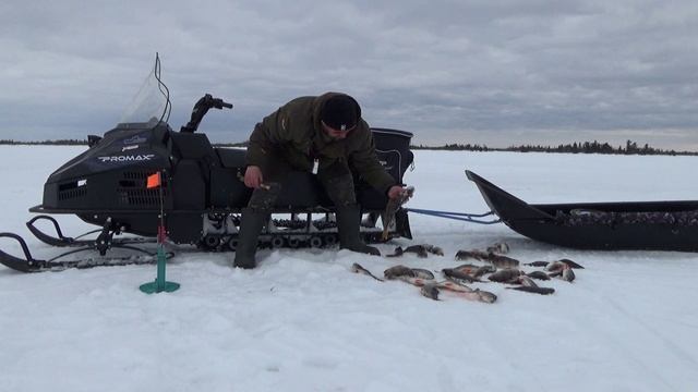 Всем привет. Снял короткое видео с рыбалки перед основным фильмом смотреть онлайн