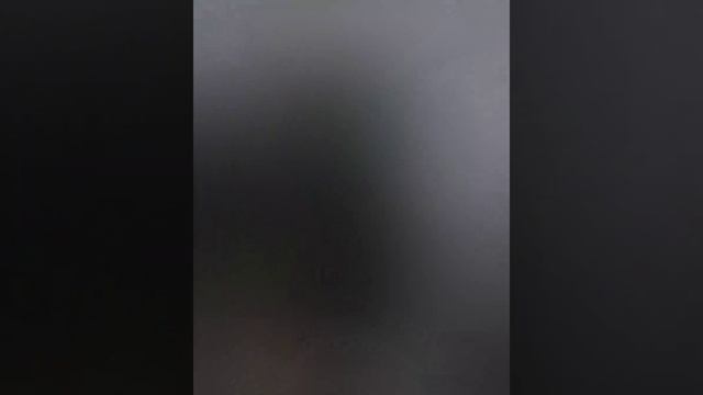 SSBBW Sadie Summers BBW PLUS SIZE MODEL Biography Facts