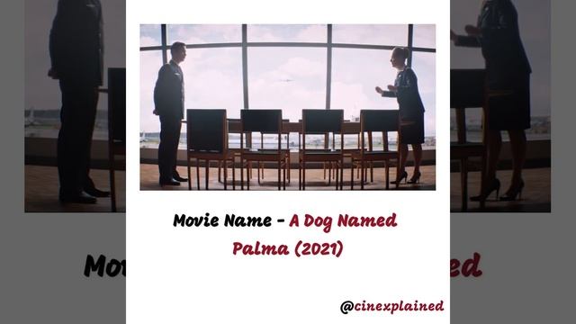 A Dog Named Palma Movie Explained Part 5 смотреть онлайн