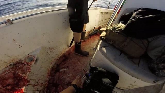 multiple hook up for the boyz tuna time. смотреть онлайн
