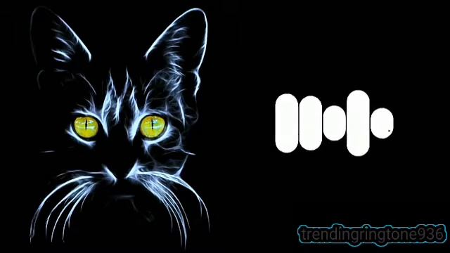 Cat remix ringtone ||paw pppp Ringtone || Gyurza Ringtone|| English BGM Ringtone || Ringtone смотреть онлайн