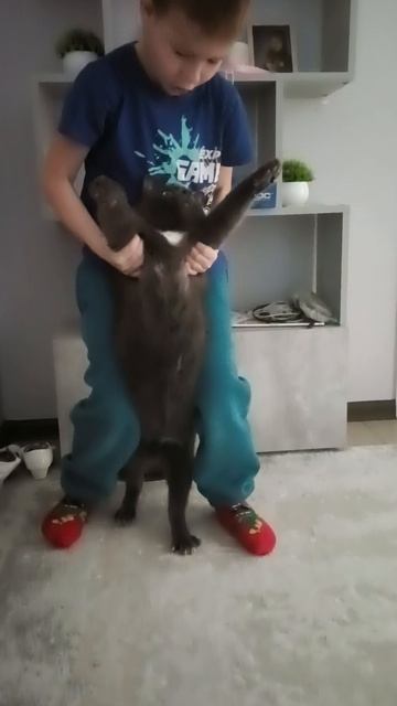 траюратный брат танцует с катом смотреть онлайн