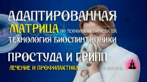 Помощь иммунитету при простуде 🎶 программа матрица по технологии Гаряева П.П ☀️ SoftRadio.ru