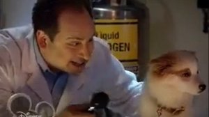 Собака точка ком   1 сезон, 22 2 серия