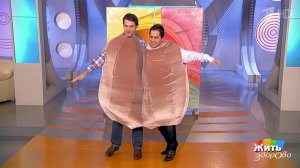 Песня яичек. Жить здорово! Фрагмент выпуска от 01.04.2025