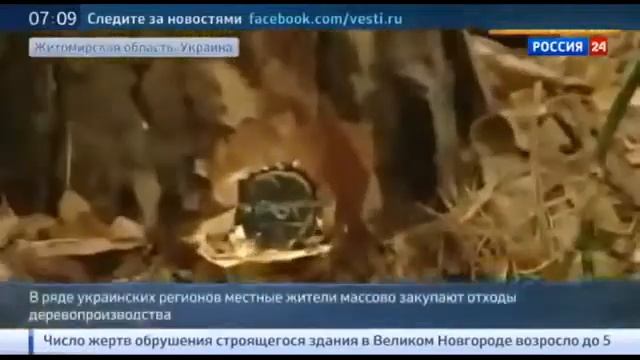 УКРАИНА БЕЗ ГАЗА! Украинцы скупают древесину! Новости Украины_05.07.2015.mp4 смотреть онлайн