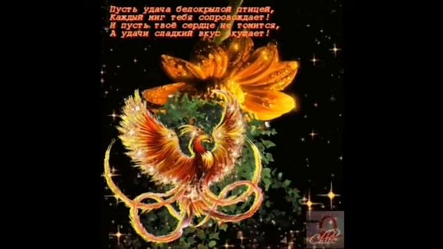 Мэвл - Буду Признаваться 2020 (ОФИЦИАЛЬНЫЙ КЛИП RNM) смотреть онлайн