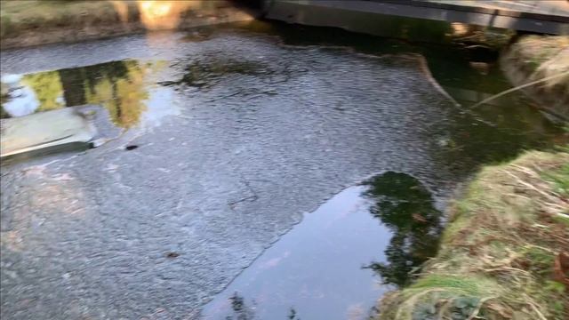 Новости с пруда.Готовимся к сезону. смотреть онлайн