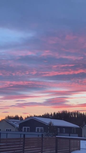 Природа лучший художник смотреть онлайн