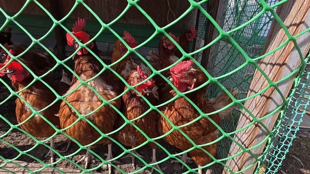 Почти готов смотреть онлайн