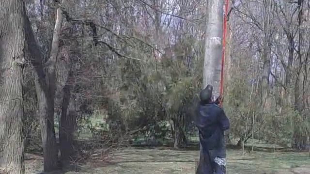 Поц удочкой красит фонари в Одессе смотреть онлайн