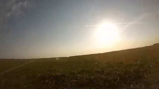 Nerko Action смотреть онлайн