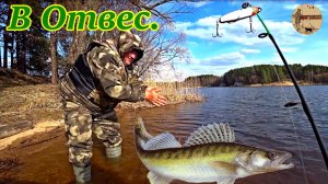 Рыбалка в овес,на вибы и ратлины.