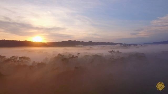 Natural Remedies For Sleeping Better смотреть онлайн