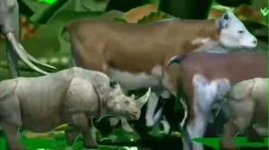 animals stampede green screen