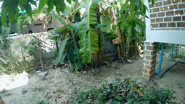 Таиланд. о. Самуи. Жилье у пляжа Чавенг.