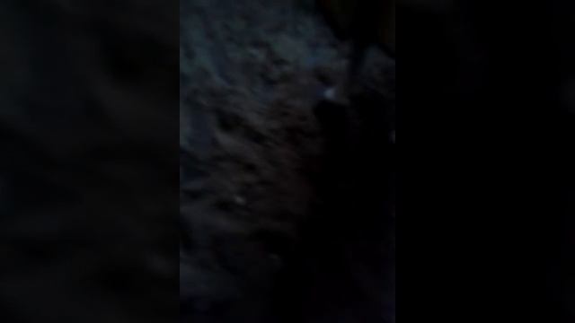 Мой заяц ест хлеб смотреть онлайн