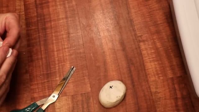 Ball python eggs are hatching - see the results! смотреть онлайн
