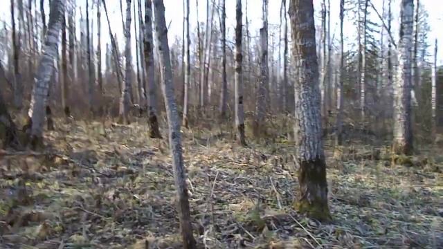 Советы выживальщикам смотреть онлайн