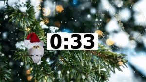 A teenager's favourite holiday