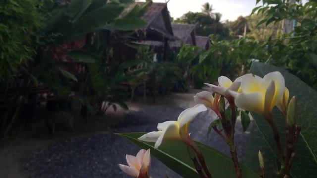 NamThip Beach house bungalows, Koh Phangan Thailand смотреть онлайн