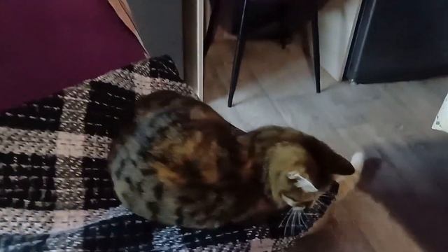 ВЛОГ/ САЛОН МАССАЖА ИРИНЫ ХРУЩЁВОЙ/ СНОВА ЩУКА/ МАРУСЯ СИМБА