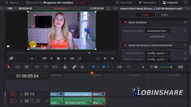 ZOOM DINÁMICO DAVINCI RESOLVE 15 (Tutorial 04: Hacer Efecto Zoom Con El Inspector Sin Keyframes)