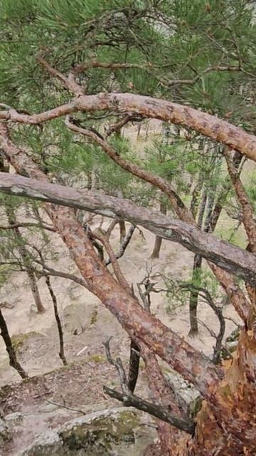Планческие скалы в Северском районе Краснодарского края смотреть онлайн