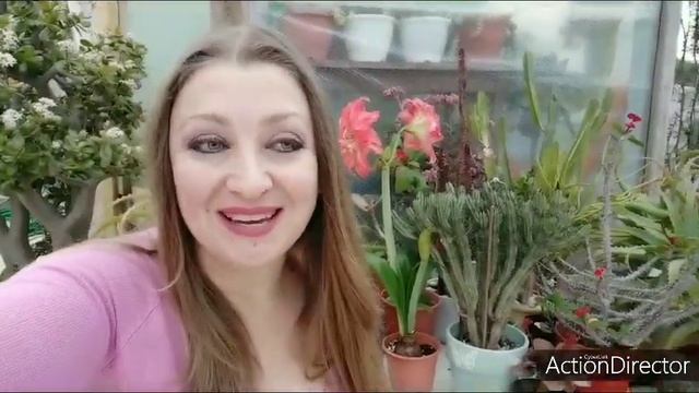4 Года каналу!!🎉🥳🎂🍾 смотреть онлайн