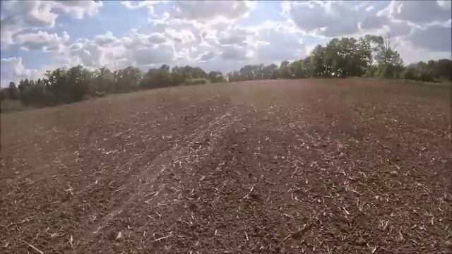 Trying Something New Out Of Desperation: Stumpy Rolling Bean Ground смотреть онлайн