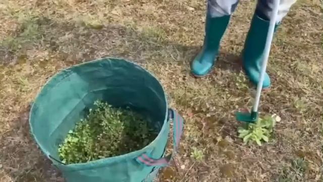 РОСОМАХА ИНСТРУМЕНТ ДЛЯУДАЛЕНИЯ СОРНЯКОВ смотреть онлайн