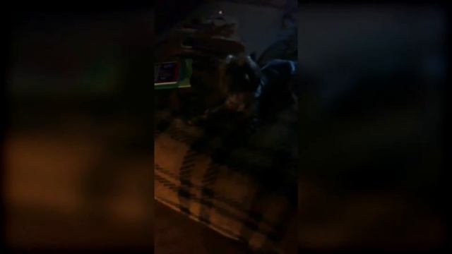 Доби. смотреть онлайн