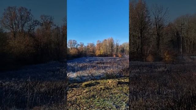 Nuovo Sfalcio Con Trincia Kubota 60 Ql.