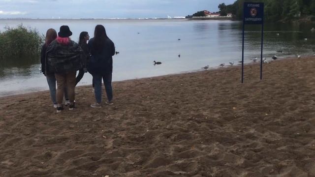 2021.07 Петергоф смотреть онлайн