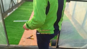 Как постелить газон под бассейн в парнике)