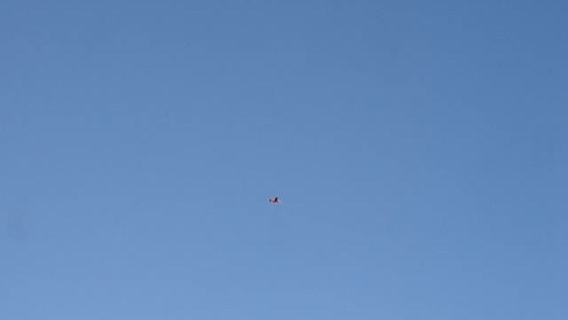 Chad 20 freeflight airplane смотреть онлайн