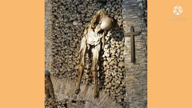 A CAPELA DOS OSSOS E A FLORESTA ASSOMBRADA/Curiosidades смотреть онлайн