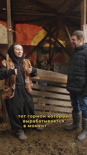 Как повысить надои молока ЗА 1 ДВИЖЕНИЕ #свояеда #бизнес смотреть онлайн