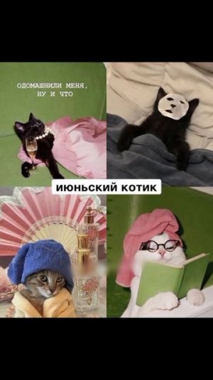 Знаки зодиака ❤️