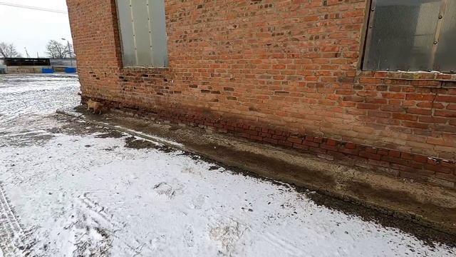 Василий Алексеевич вышел из отпуска и сразу в работу! смотреть онлайн