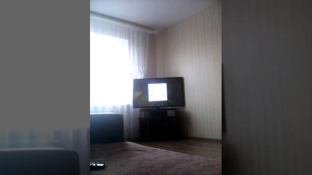 2 ноября 2019 г. смотреть онлайн