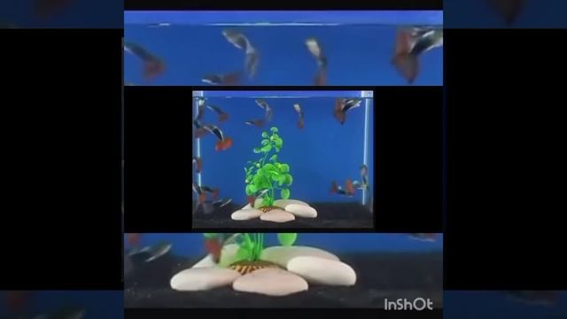 19 января 2021 г. смотреть онлайн