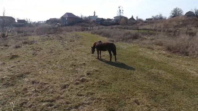 Пролёт Гостомель смотреть онлайн