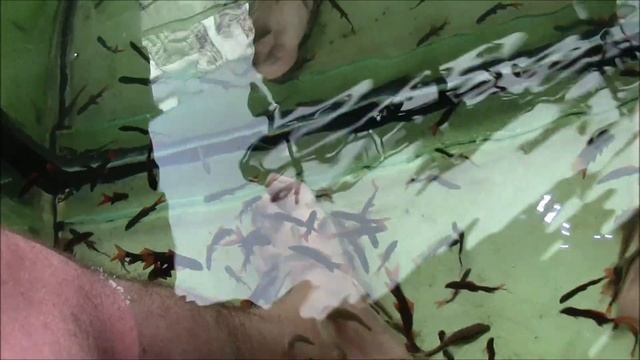 рыбный пилинг Тайланд. Пхукет. Патонг. смотреть онлайн