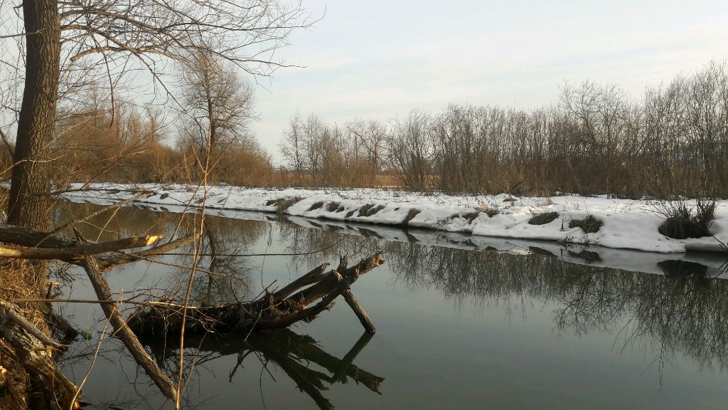 Артя речушка.