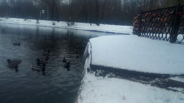 Ботсад. Утки, мыши, крысы) смотреть онлайн